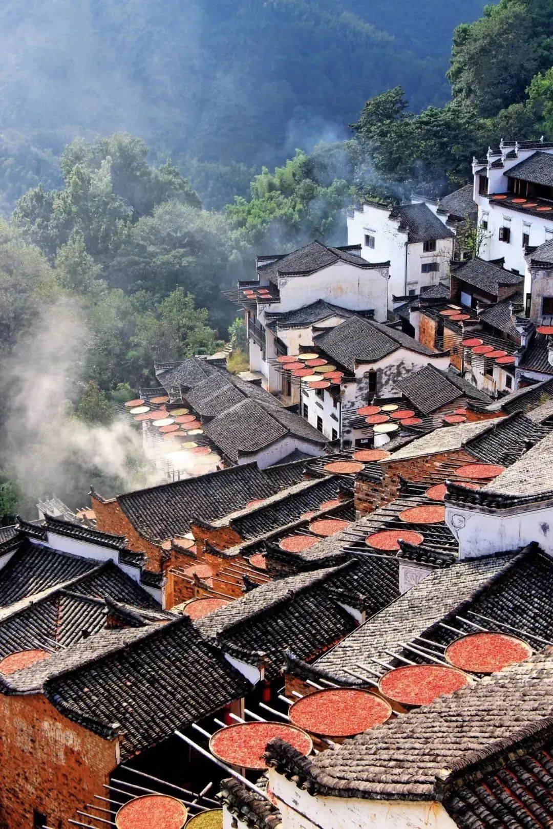 江西深巷探幽，秘密花园中的味蕾诱惑
