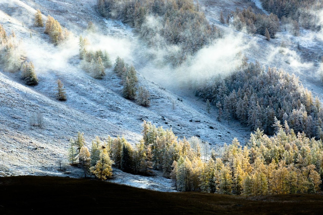 新疆科技之光，前沿探索引领生活革新