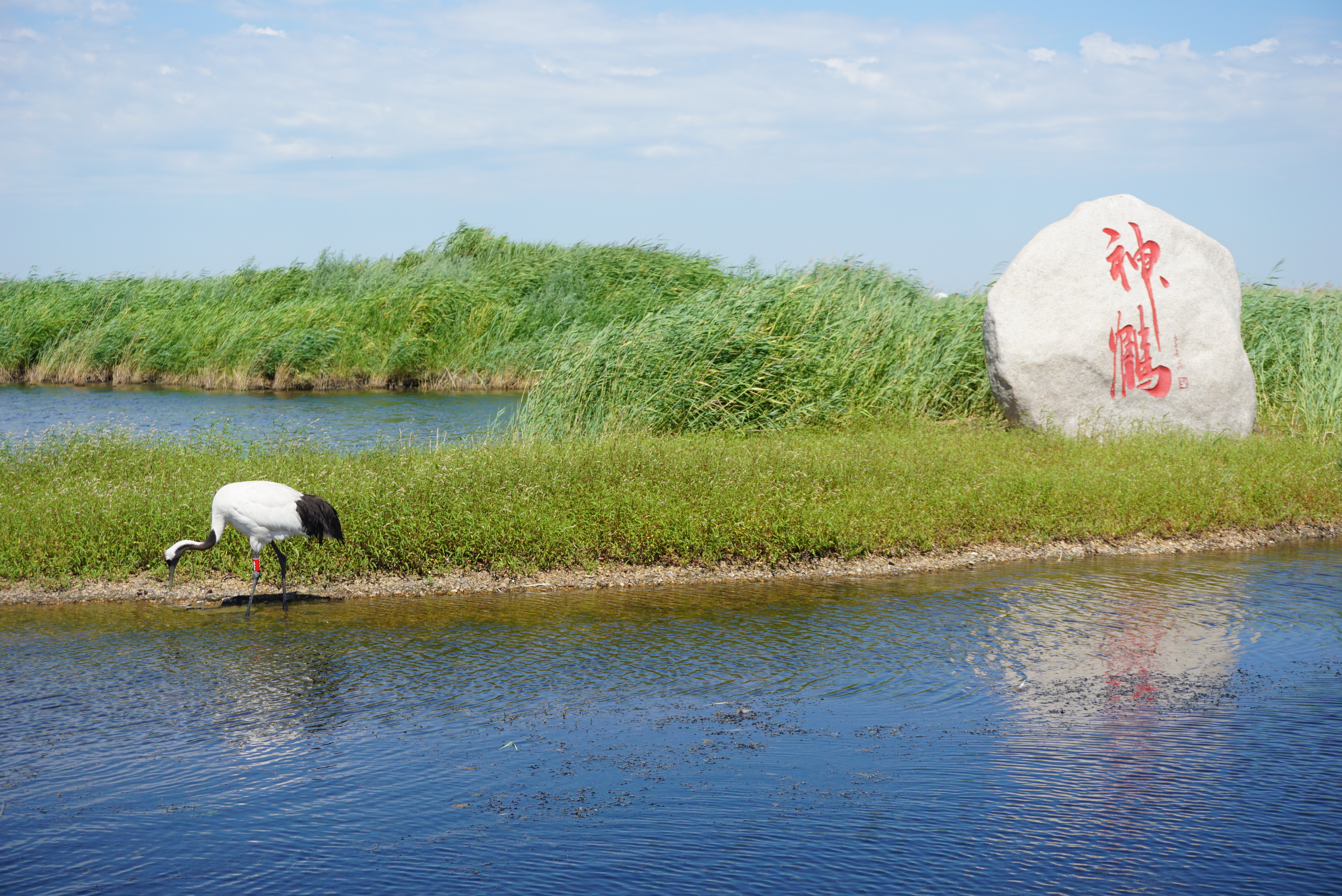 运城，历史长河中的璀璨明珠，展现独特魅力